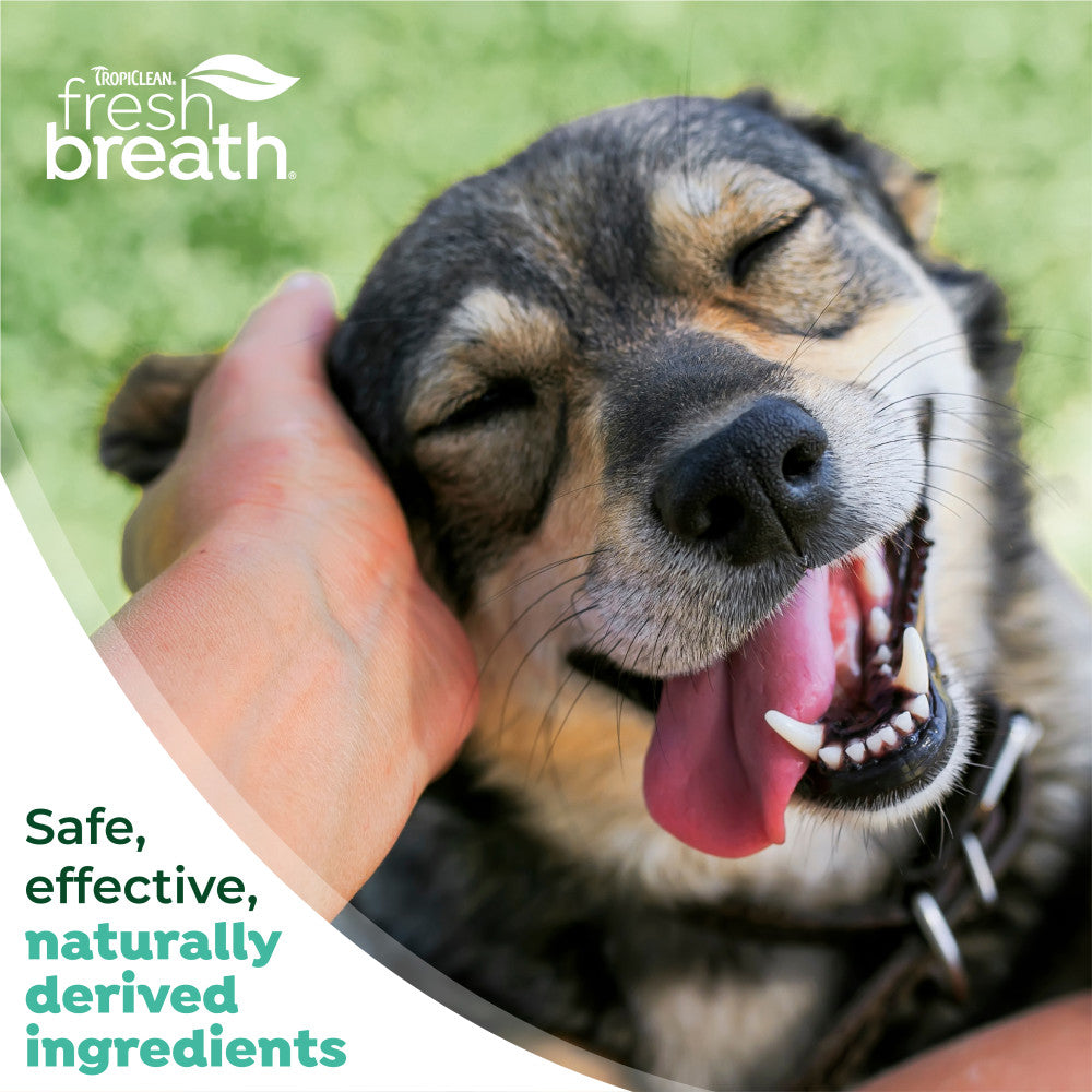 TropiClean Fresh Breath Plaque & Tartar Control Kit for Small & Medium Dogs
