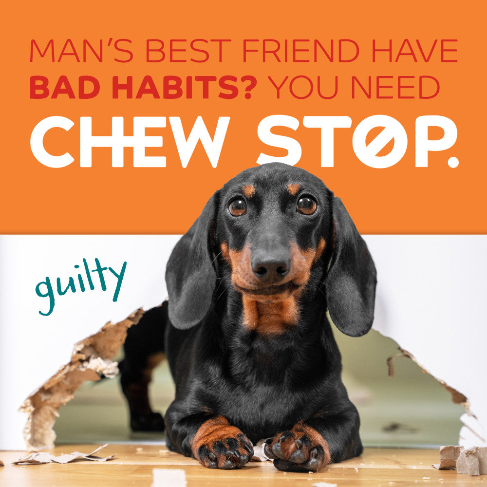 TropiClean Chew Stop Behavior Aid Home Spray, 8oz