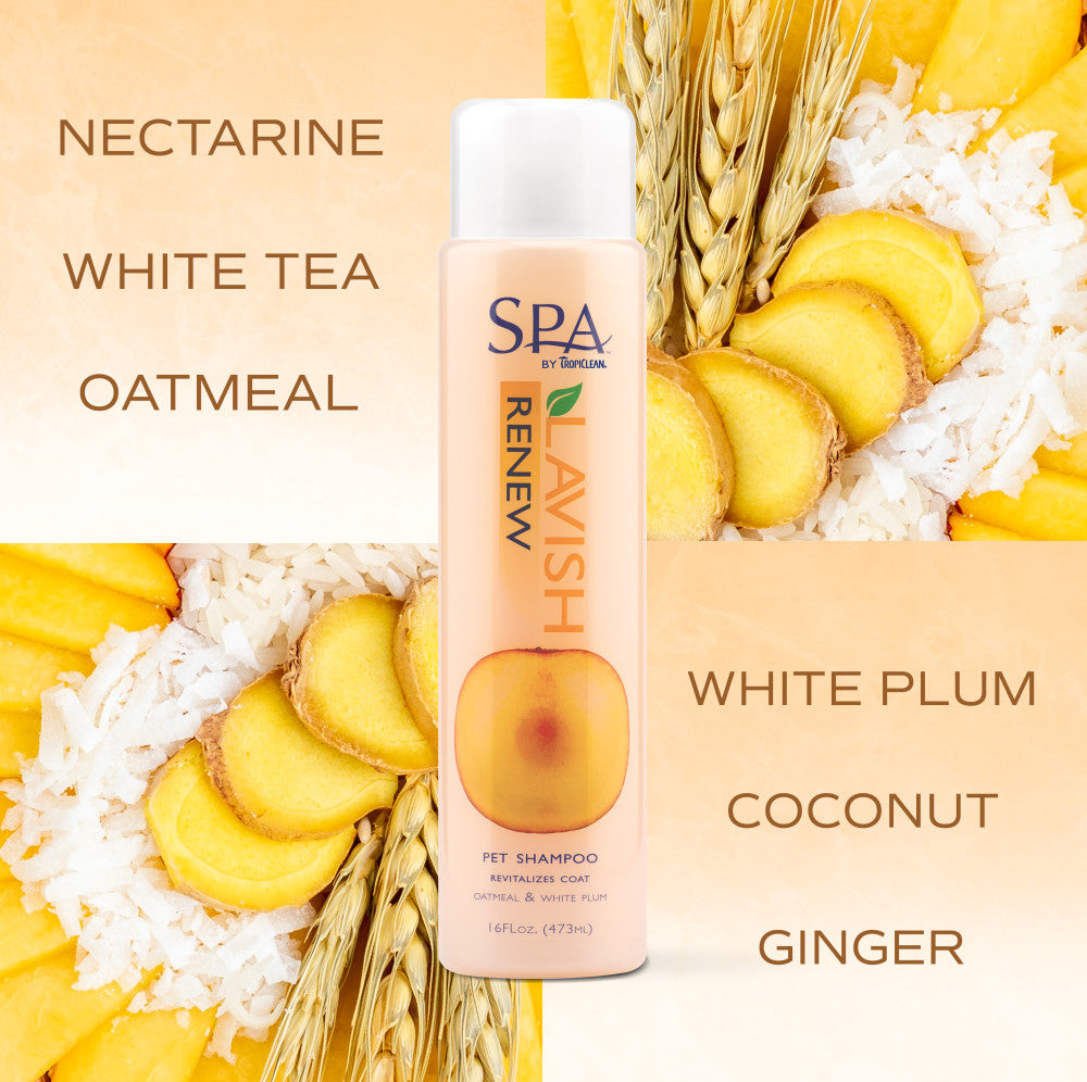 SPA by TropiClean Lavish Renew Shampoo for Pets, 1 gal