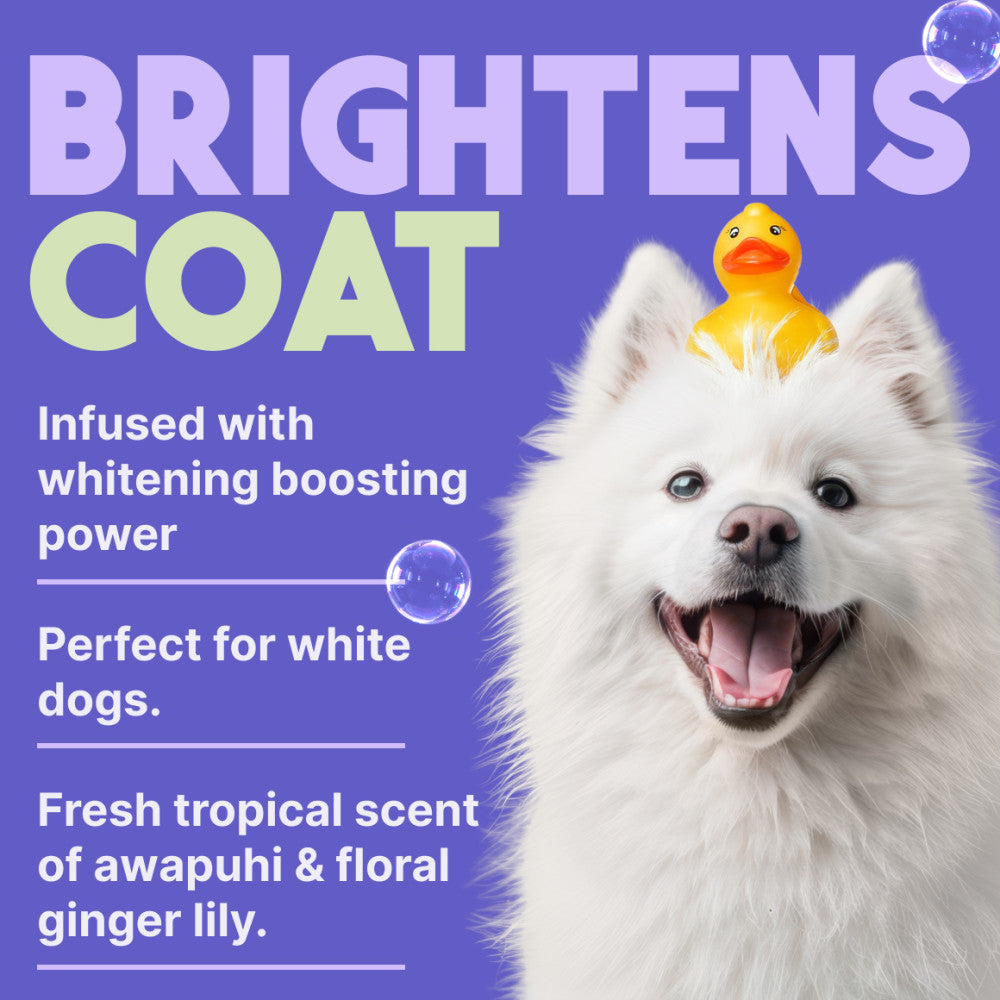 TropiClean Awapuhi & Coconut Whitening Shampoo for Pets, 1 gal