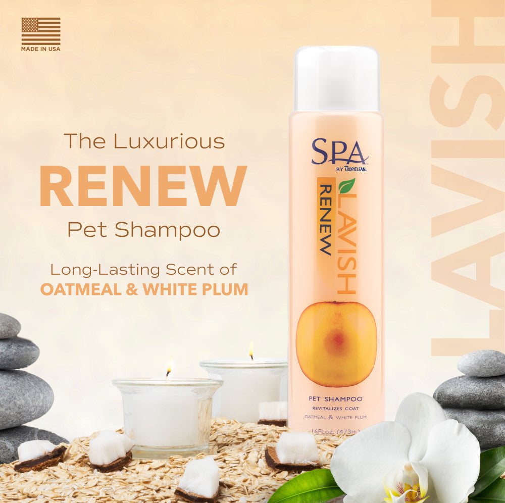 SPA by TropiClean Lavish Renew Shampoo for Pets, 1 gal