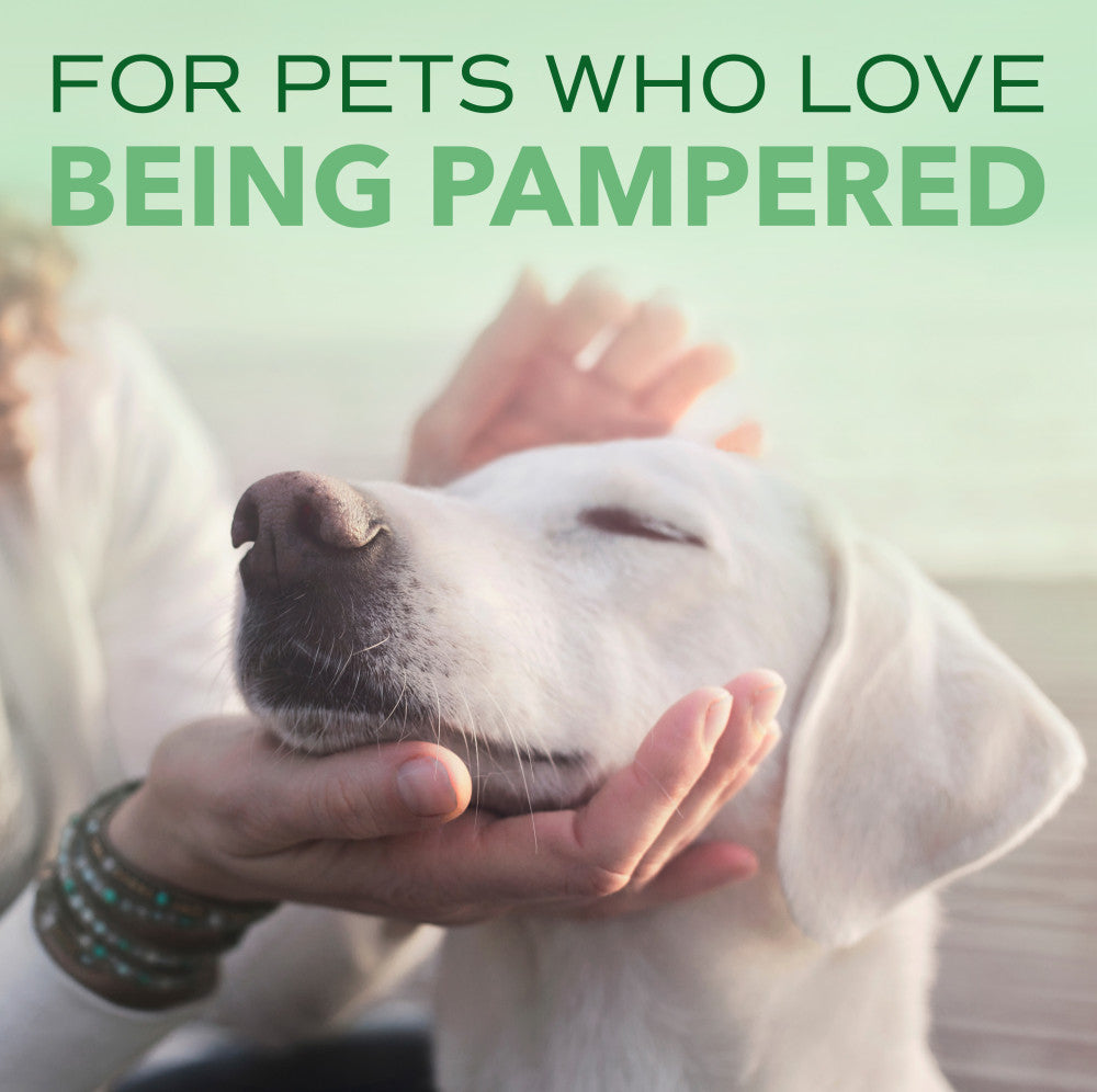 SPA by TropiClean Lavish Comfort Shampoo for Pets, 1 gal