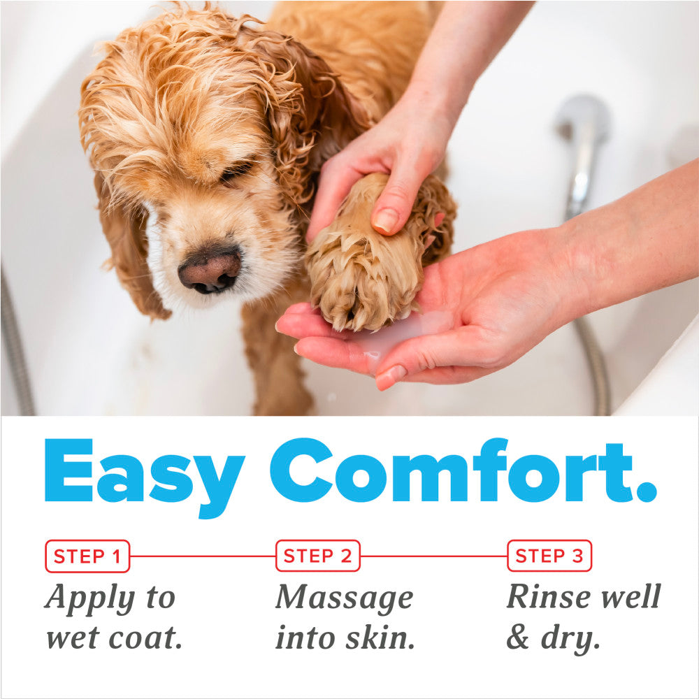 TropiClean OxyMed Antifungal & Antiseptic Shampoo, 20oz
