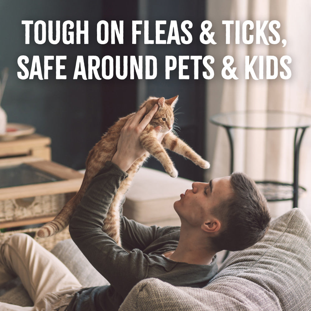 TropiClean Natural* Flea + Tick Gentle Cat Shampoo, 12oz