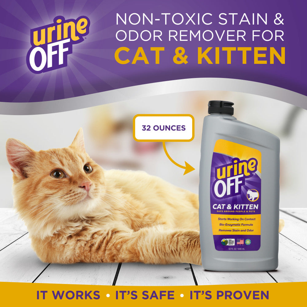 Urine Off Cat & Kitten Carpet Applicator, 32oz