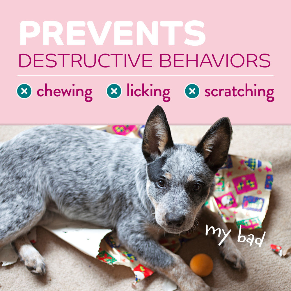 TropiClean Chew Stop Behavior Aid Puppy Spray, 8oz