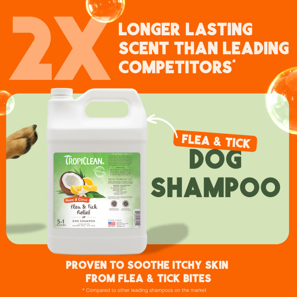 TropiClean Neem & Citrus Flea & Tick Relief Shampoo for Dogs, 1 gal