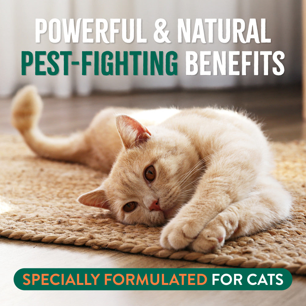TropiClean Natural* Flea + Tick Gentle Cat Shampoo, 12oz