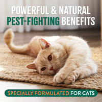 TropiClean Natural* Flea + Tick Gentle Cat Shampoo, 12oz