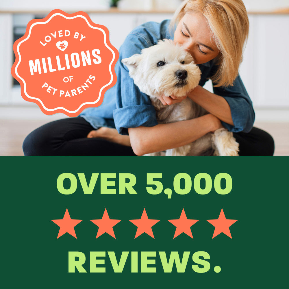 TropiClean Papaya Deodorizing Spray, 10oz