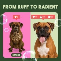 TropiClean Berry & Coconut Deep Cleansing Shampoo for Pets, 2.5 gal