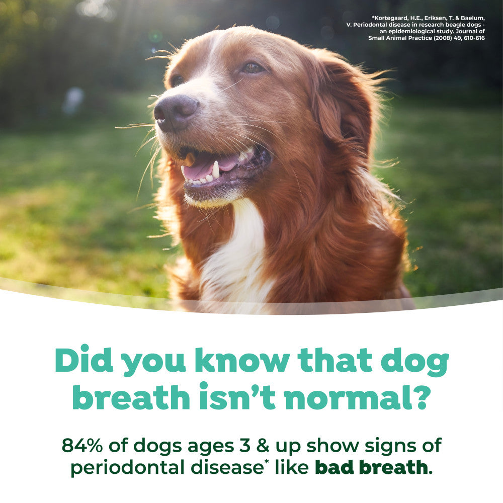 TropiClean Fresh Breath Dog Dental Water Additive Concentrate, 2.2 oz