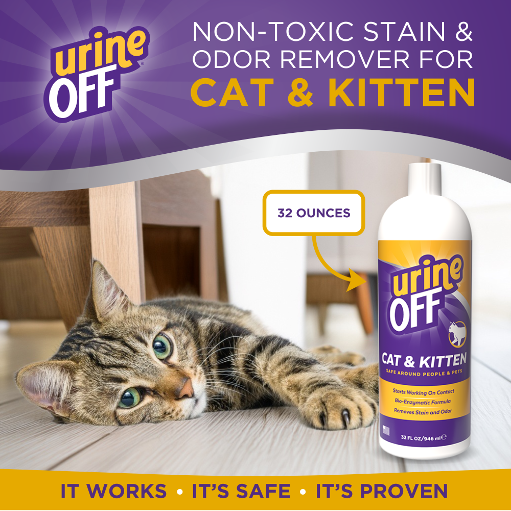 Urine Off Cat & Kitten Carpet Applicator, 32oz