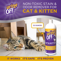 Urine Off Cat & Kitten Carpet Applicator, 32oz