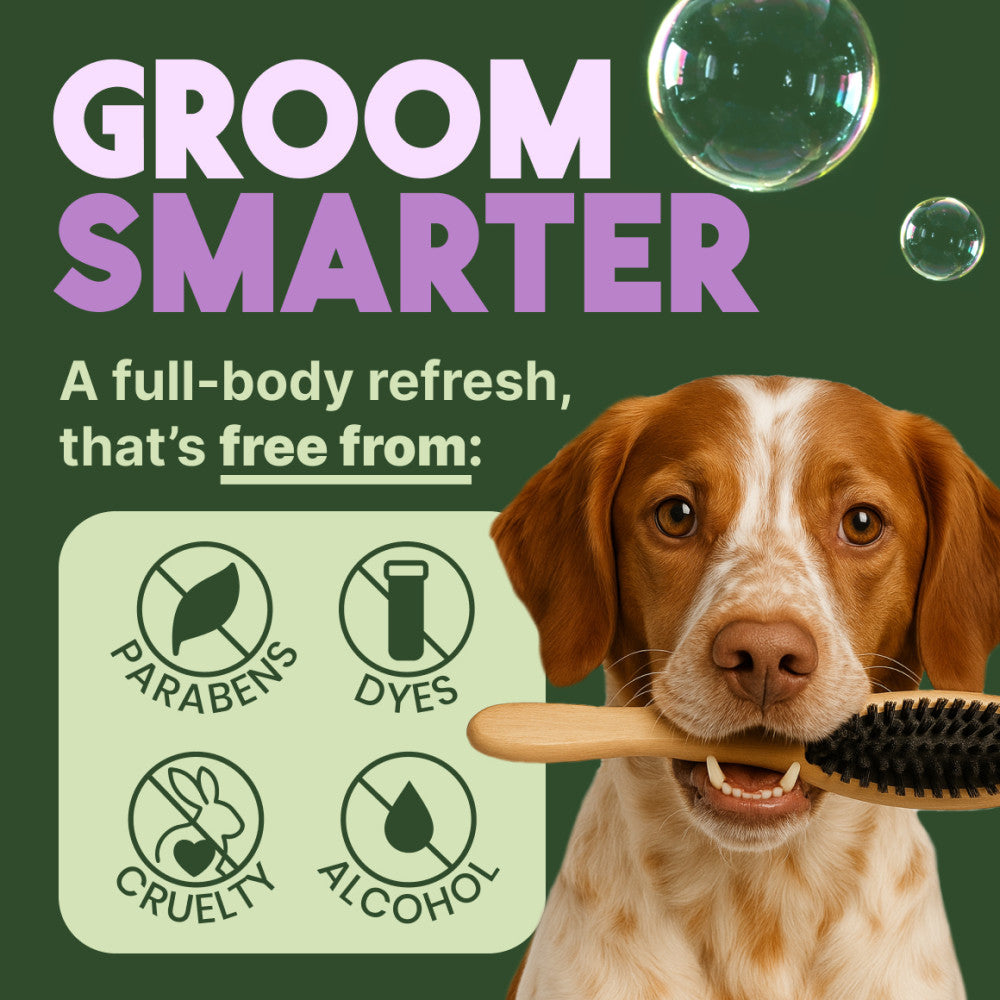 TropiClean Kiwi & Cocoa Butter Moisturizing Conditioner for Pets, 2.5 gal