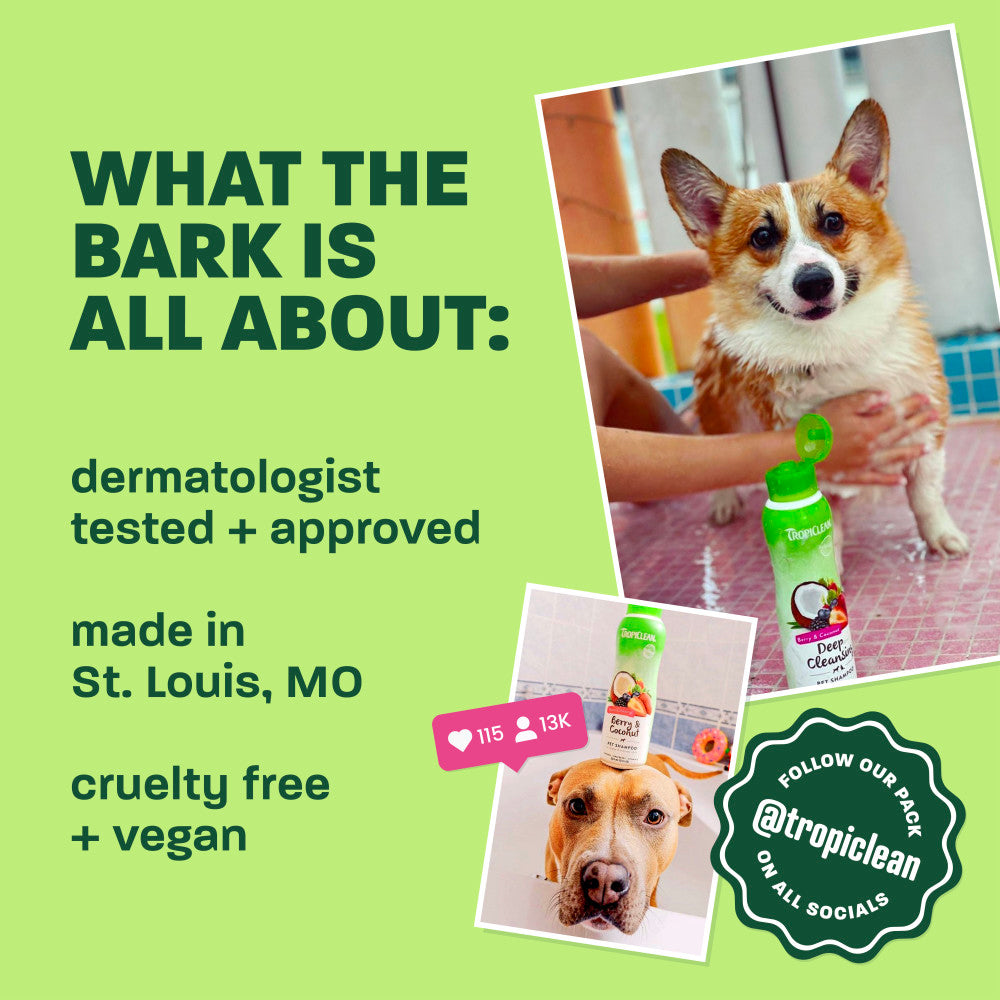 TropiClean Raspberry + Lime Odor Control Pet Shampoo, 20oz - Lined Cap