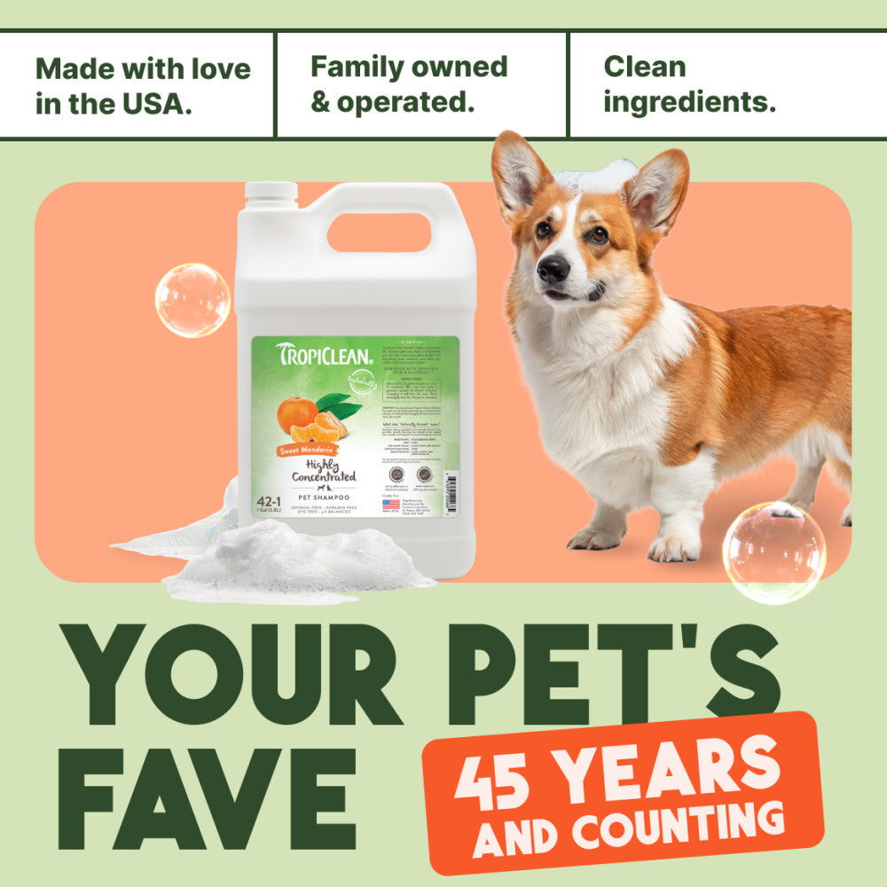 TropiClean Sweet Mandarin High Concentrate Shampoo for Pets, 1 gal