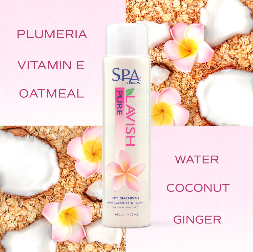 SPA by TropiClean Lavish Pure Shampoo for Pets, 1 gal