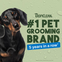 TropiClean Lime & Coconut Deodorizing Spray for Pets, 8oz