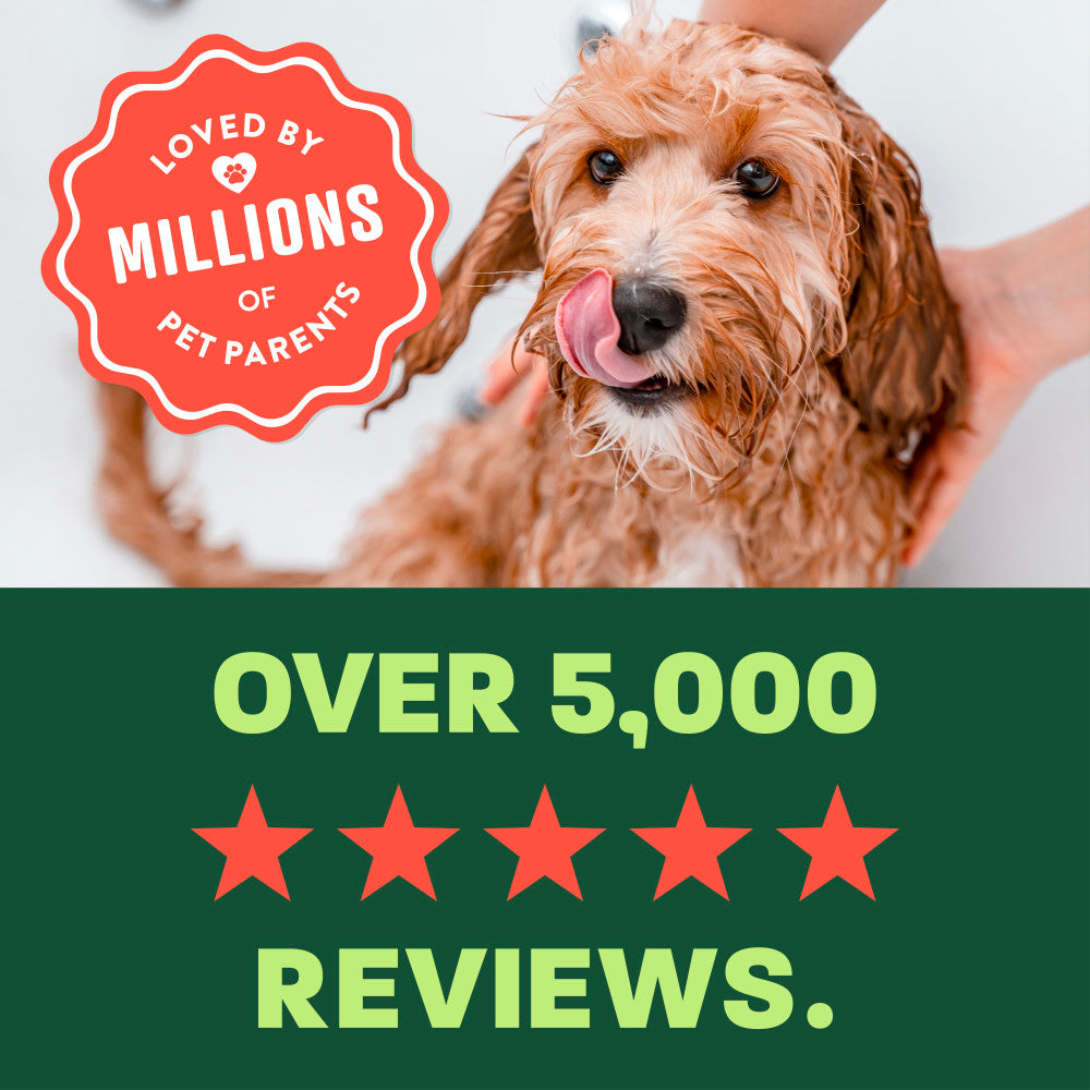 TropiClean Watermelon Deodorizing Spray, 10oz