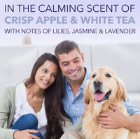 SPA by TropiClean Lavish White Coat Shampoo for Pets, 1 gal