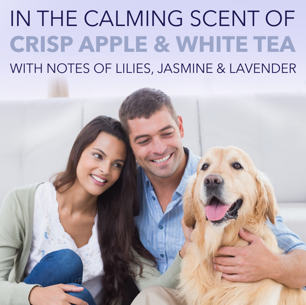 SPA by TropiClean Lavish White Coat Shampoo for Pets, 1 gal