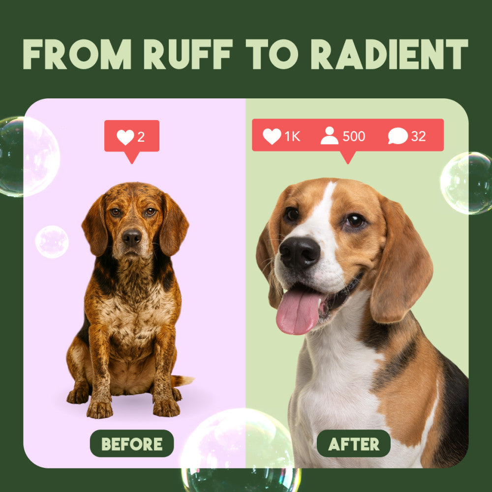 TropiClean Kiwi & Cocoa Butter Moisturizing Conditioner for Pets, 2.5 gal