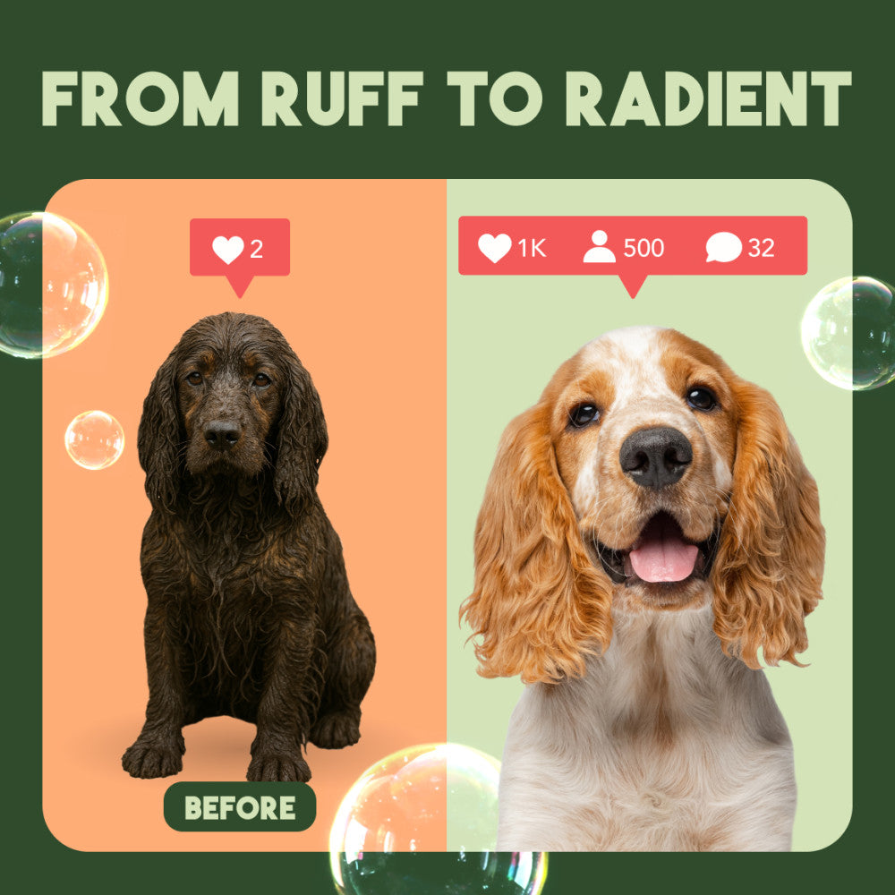 TropiClean Neem & Citrus Flea & Tick Relief Shampoo for Dogs, 1 gal