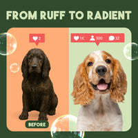 TropiClean Neem & Citrus Flea & Tick Relief Shampoo for Dogs, 1 gal