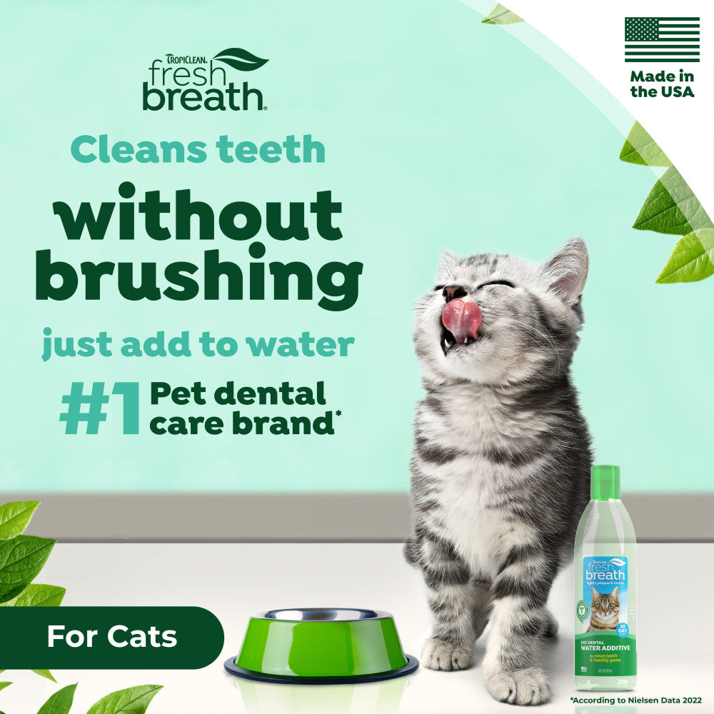 TropiClean Fresh Breath Dental Water Additive for Cats, 16oz