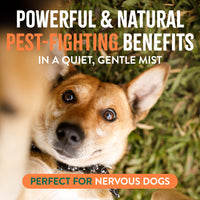 TropiClean Natural* Flea + Tick Dog + Home Easy Mist Spray, 14oz