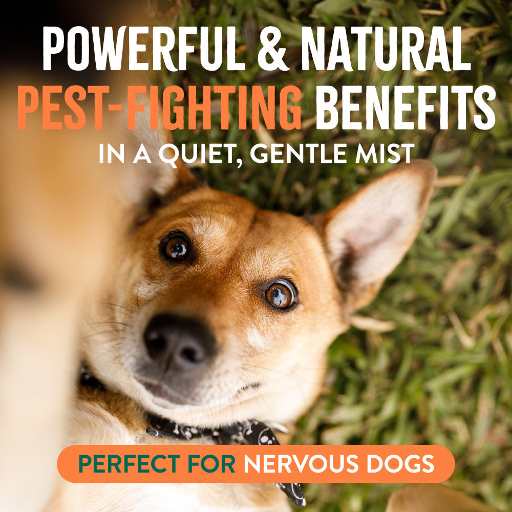 TropiClean Natural* Flea + Tick Dog + Home Easy Mist Spray, 14oz