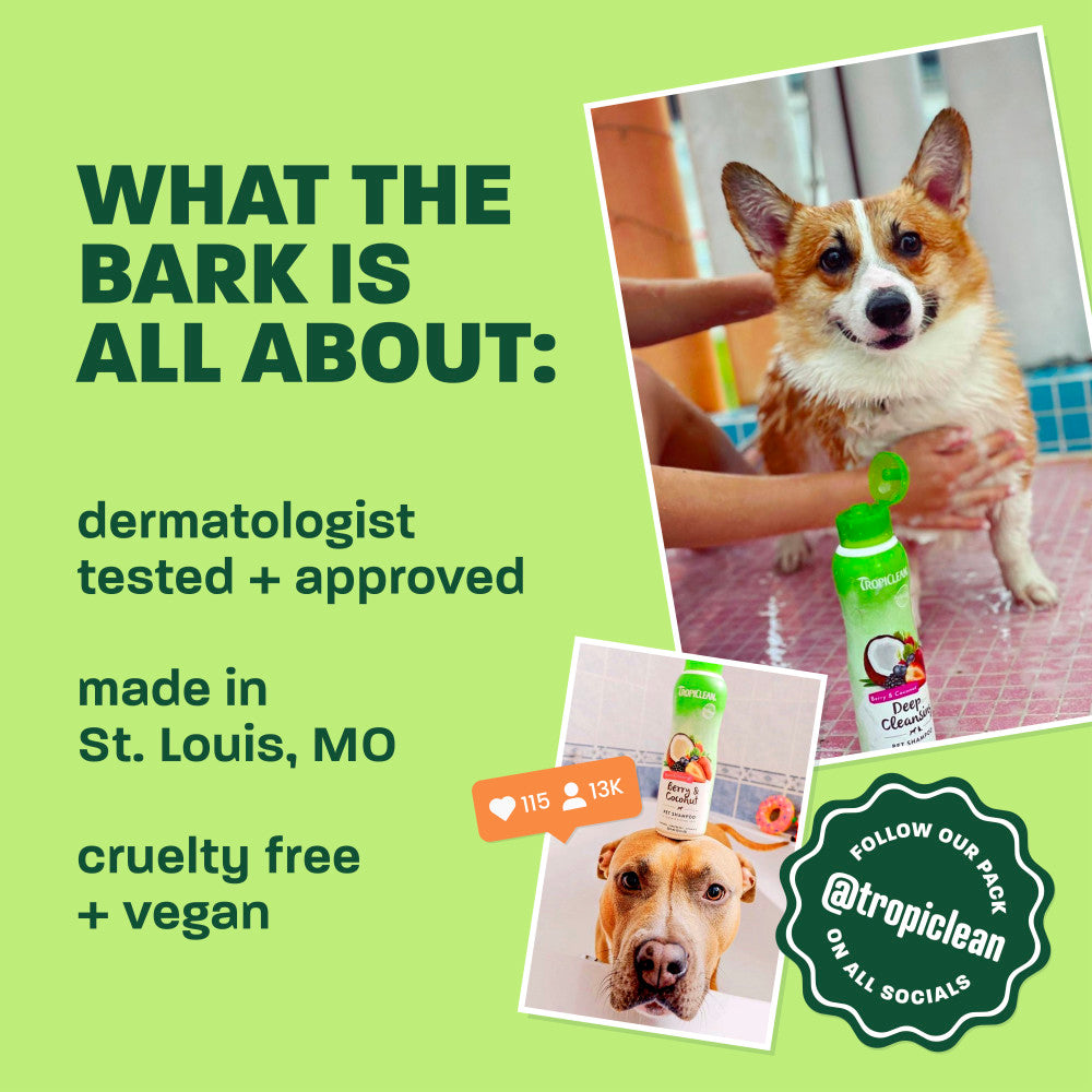 TropiClean Mango + Kiwi Deep Cleansing Pet Shampoo, 20oz - Lined Cap