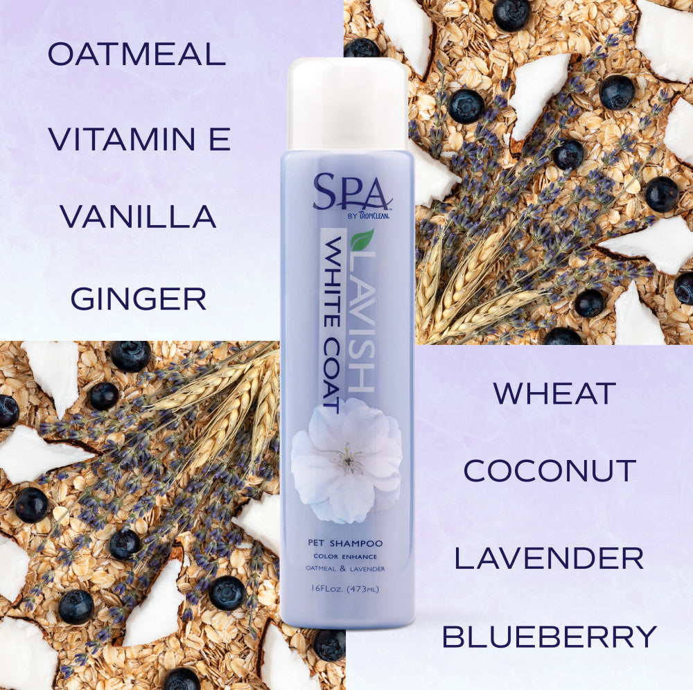 SPA by TropiClean Lavish White Coat Shampoo for Pets, 1 gal