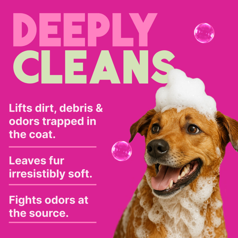 TropiClean Berry & Coconut Deep Cleansing Shampoo for Pets, 1 gal