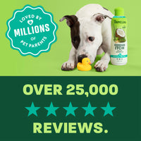 light green and green background, "Loved by millions" 5 star reviews.